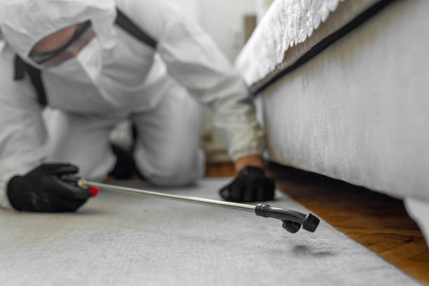 Professional Cockroach Control technician working in Addis, LA