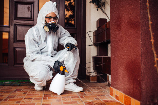 Reliable Cockroach Control contractor in Addis, LA by Nex Pest Control